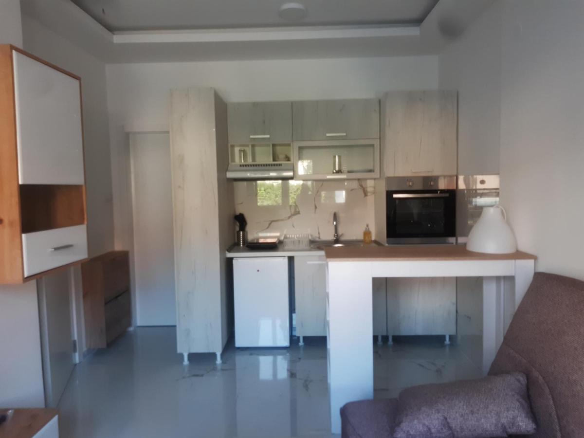 Stojanovic Apartments Ni Værelse billede